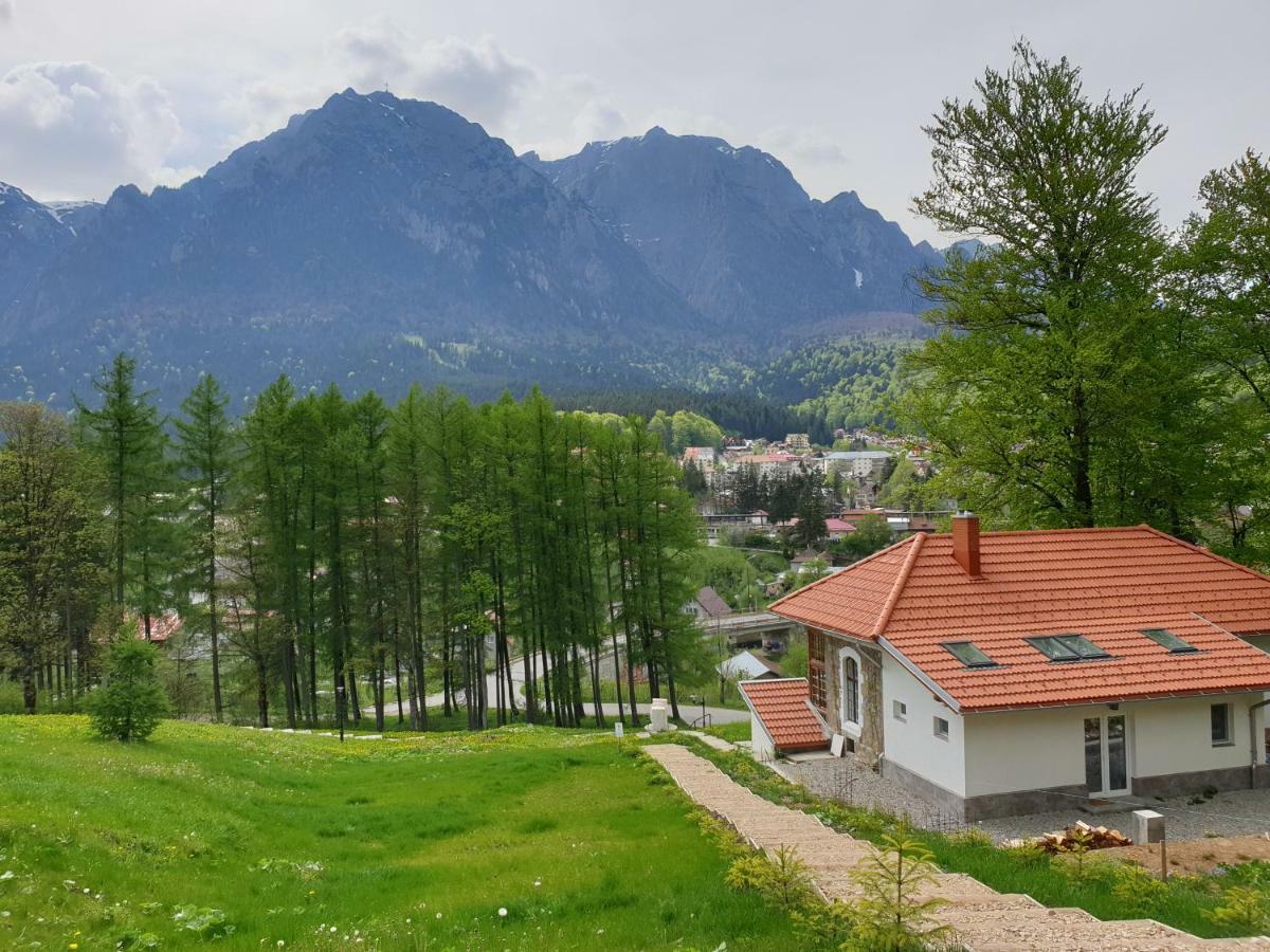 Castelul Cantacuzino Buşteni Dış mekan fotoğraf