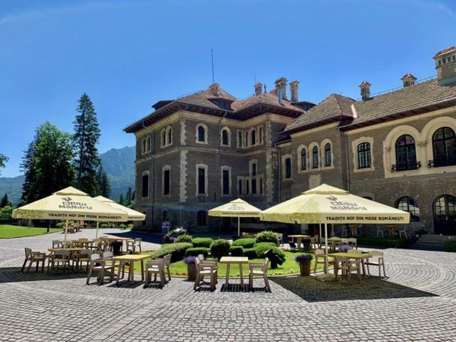 Castelul Cantacuzino Buşteni Dış mekan fotoğraf
